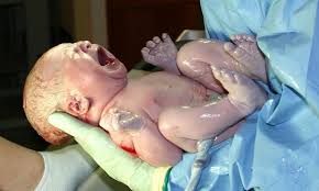 ۹۹ واقعه ولادت در سرخس ثبت شد/ «محمد یاسین» اولین نوزاد متولدشده در سال ۹۴