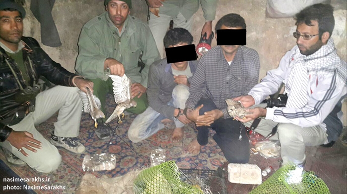 باند صید و قاچاق پرندگان شکاری در سرخس متلاشی شد+ تصاویر
