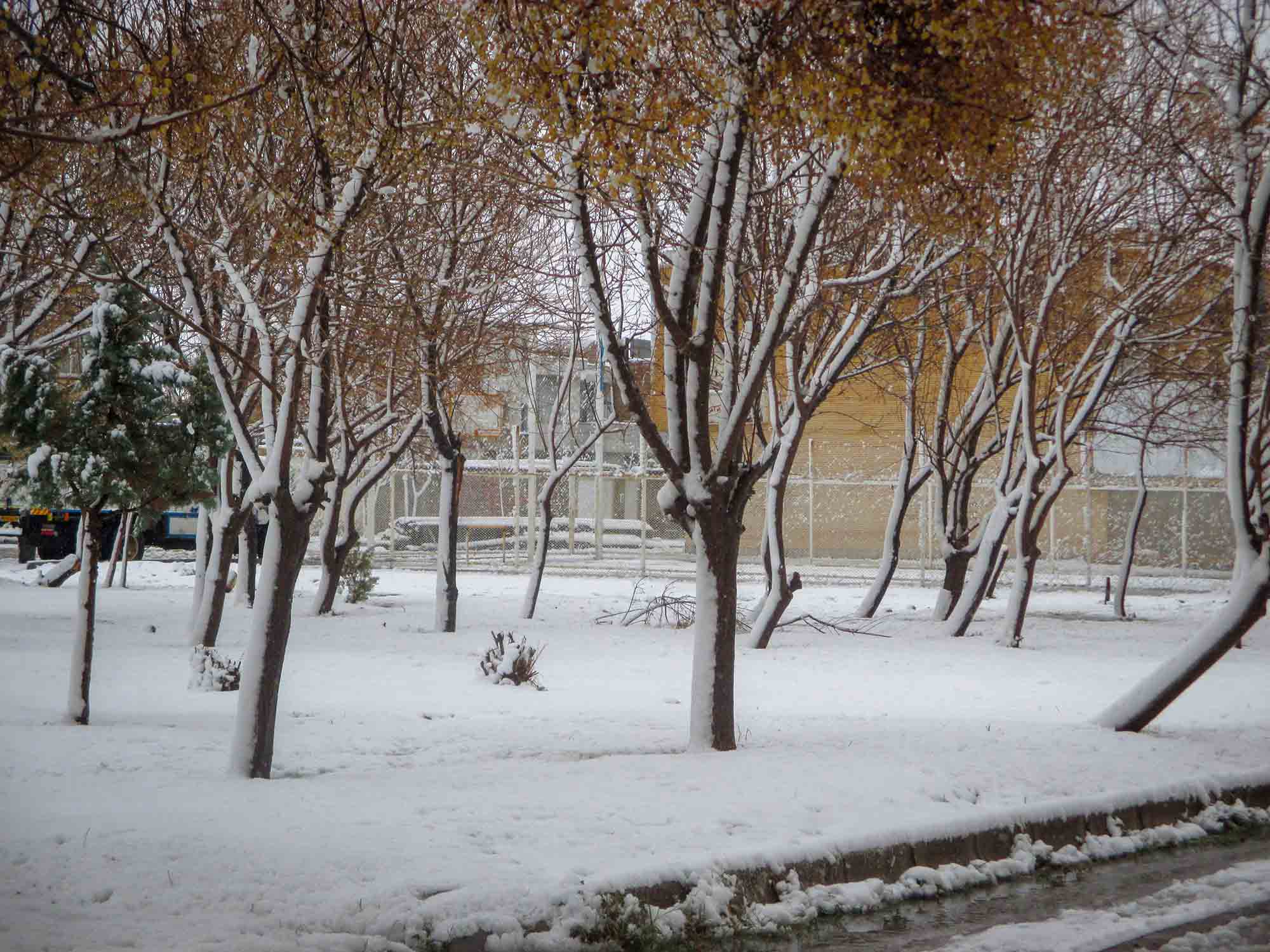 بارش نخستین برف زمستانی در سرخس/ بخش دوم