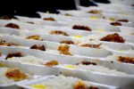 توزیع ۸۰۰۰ پرس غذای گرم در طرح «مرد میدان» بین نیازمندان سرخس