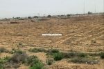 مطالبات مردم؛ شخم زدن زمین‌های معدن شن در روستای سنگر و احتمال خیزش ریزگردها