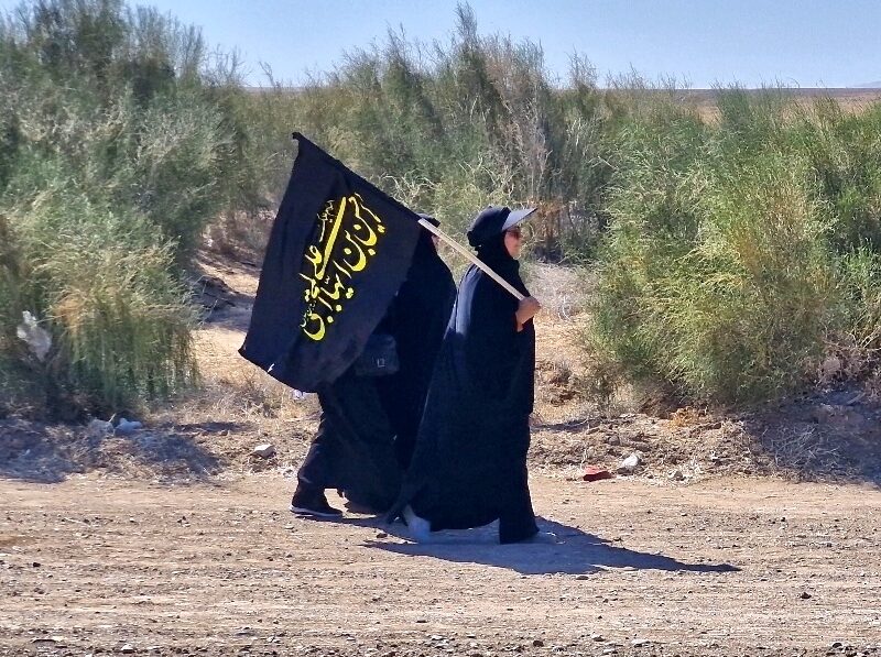 فیلم؛ مشق عاشقی ۶۳۰۰ زائر پیاده سرخسی در مسیر مشهدالرضا