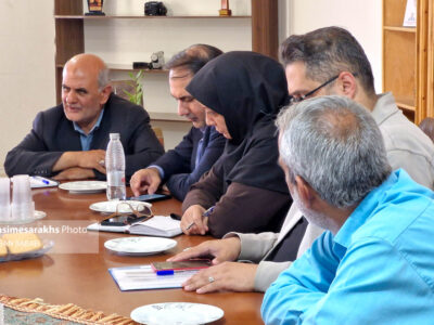 دیدار مدیرکل فرهنگ و ارشاد اسلامی خراسان رضوی با هنرمندان سرخس