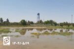 فیلم؛ بی‌توجهی دستگاه‌های مسئول به پیام‌های مردمی/ هدر رفت آب در کنار پارک بانوان سرخس همچنان ادامه دارد!
