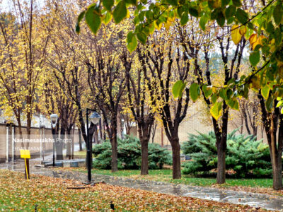 آخرین روزهای پاییز ۱۴۰۴ در سرخس