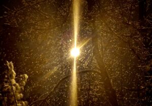 فیلم؛ بارش نخستین برف زمستانی در سرخس