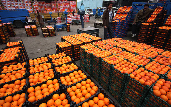 عرضه ۵۰ تن میوه یارانه ای در سرخس/ پرتقال ۱۹۰۰ و سیب ۱۸۰۰ تومان