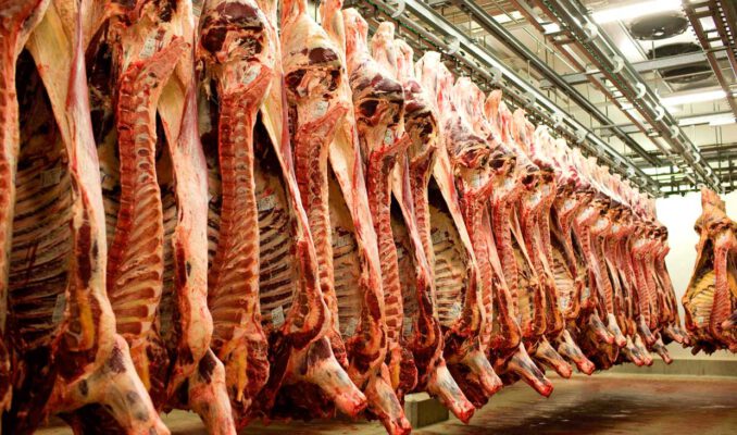 ۲۸۰ لاشه گوشت گرم گوسفندی امروز وارد سرخس می‌شود