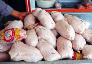عرضه مرغ با قیمت بالاتر از ۲۱ هزار تومان در سرخس گران‌فروشی است