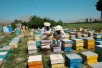 زنبورداران مهاجر در صورت عدم رعایت حریم در سرخس اخطار کتبی می‌گیرند