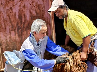 تحقق جلوه‌هایی از جهاد مقدس سازندگی در سرخس